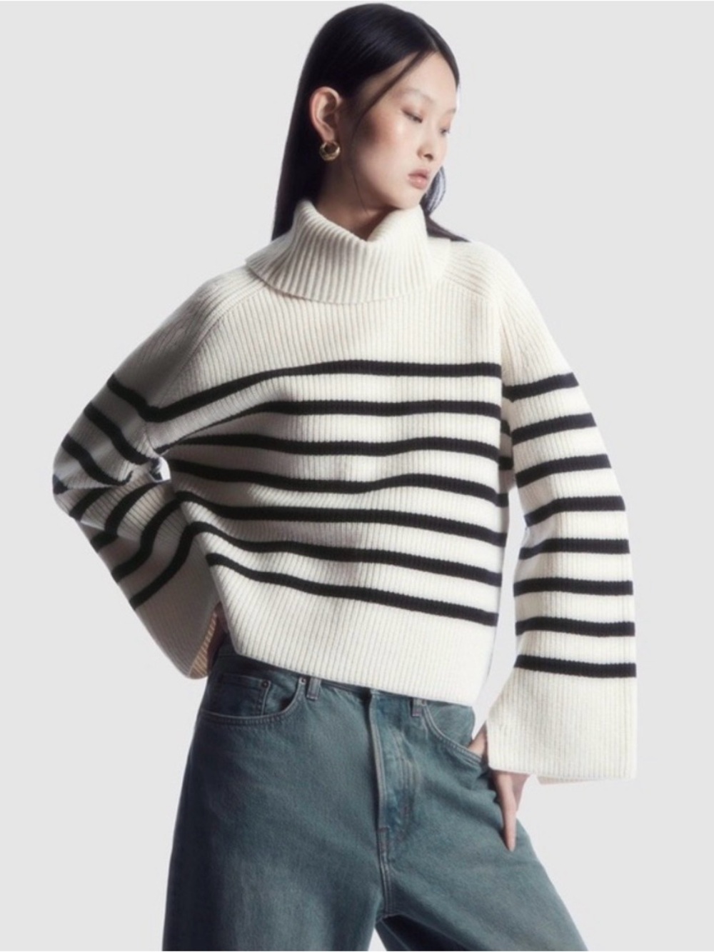 COS Stripe Wool Roll Neck Sweater Women's XS/S or size 2